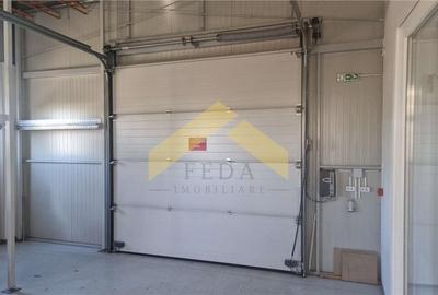 Hala industriala de vanzare in loc. Sfantul Gheorghe, jud. Covasna - 5