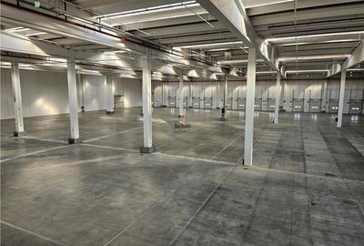 Spatii Industriale - 10000 mp - Logistica - Productie - Depozitare - Distributie - 3