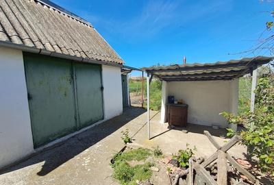 Valcani, proprietate cu casa taraneasca - 10
