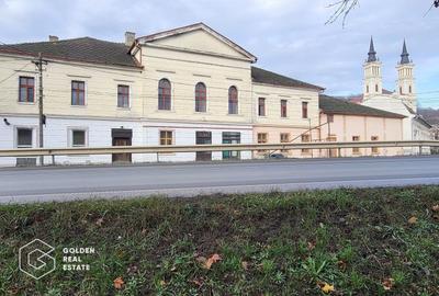 Proprietate tip conac, teren 4468 mp, oras Lipova - 1