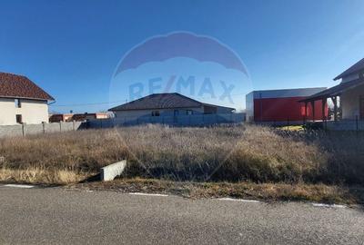 Teren intravilan pentru locuinta in Calugareni / Strada Principala - 4