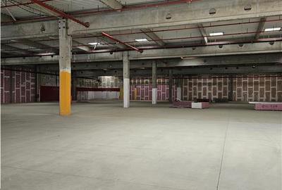 Spatiu Industrial - 7000 mp - Logistica - Productie - Depozitare - Distributie - 12