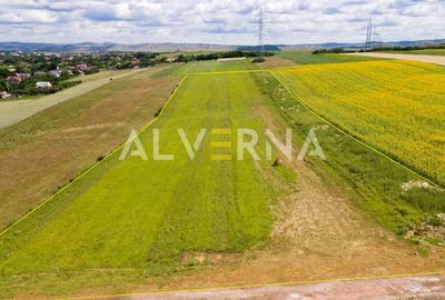 INVESTITIE! Teren constructii 11.600 mp | front 45.7m | Jucu de Sus - 3