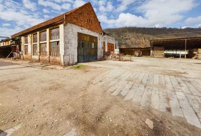 Fabrica prelucrare lemn de vanzare – Lipova, Arad - 1