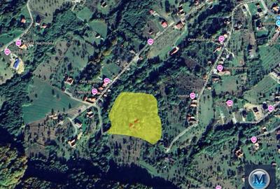 Teren intravilan de vanzare in Bran, 24000 mp #16561 - 4