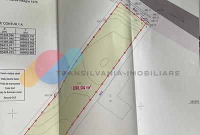 Teren 890mp construibil la intrare in Chinteni - 1