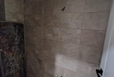 APARTAMENT 3 CAMERE DECOMANDAT CHITILA MARMUREI - 7