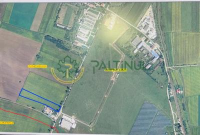 Teren Sibiu, între Șura Mică și Ocna Sibiului direct la drumul principal! - 1