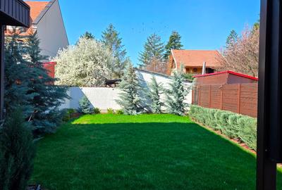 Damaroaia Bucureștii Noi - 1