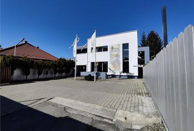 Cladire Birouri - Calea Dumbravii - 1