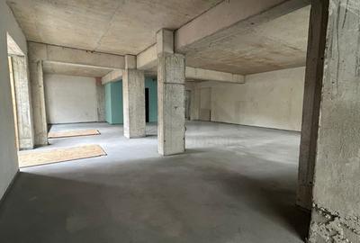 REC3001797 Spartiu comercial birouri Iancu Nicolae stradal bloc nou - 8