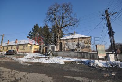 Conac apartinand lui Cicio POP, judet ARAD - 2