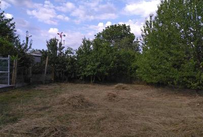 Vanzare teren intravilan 3715 mp – ideal pentru dezvoltare rezidentiala - 7