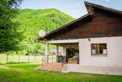 La Dolce Vita-casa vintage/moderna-Somesul Rece - 2