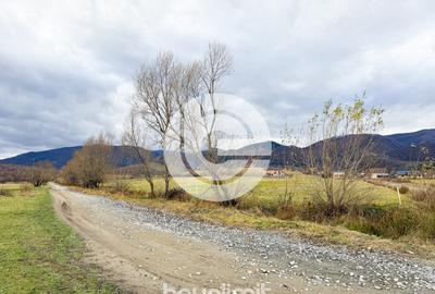 Teren intravilan în Tocile - 39 euro/mp - 4354 m² - 2 fronturi - 19