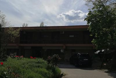 Vila unicat de inchiriat in Mamaia - 10