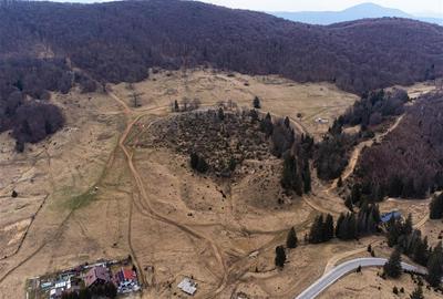 Teren Intravilan 6500 MP- Valea Poienii Aviatorilor ,Aproape de Poiana Brasov si - 4