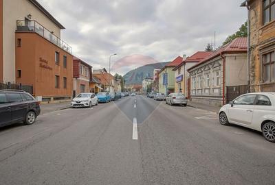 Vilă pe str Alexandru Ioan Cuza, 10 camere, S + P + E, teren 282 mp - 20