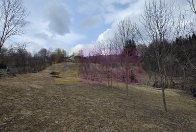Teren intravilan de vanzare in Valea Doftanei - 7