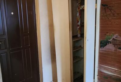 Apartament 2 camere b-dul Victoriei, etaj 4/8, insorit, priveliste peisagistică - 11