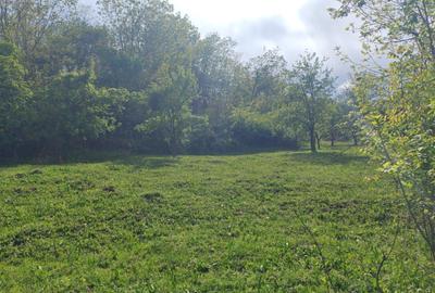 Teren Breaza 4400 mp - 1