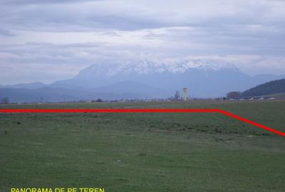 Teren ideal ferma, pt dezvoltare agricola, proiect fotovoltaice - 7