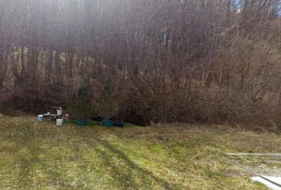 Teren Construcții intravilan de 1195 mp, în Făget