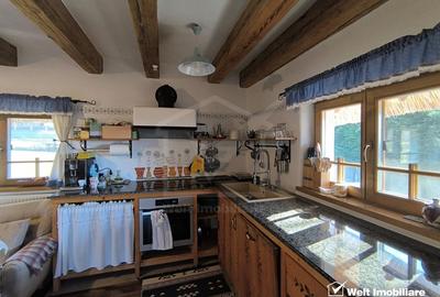 Casa rustica, exclusivista, 5 camere, 170 mp utili, 550 mp teren, Salicea - 18