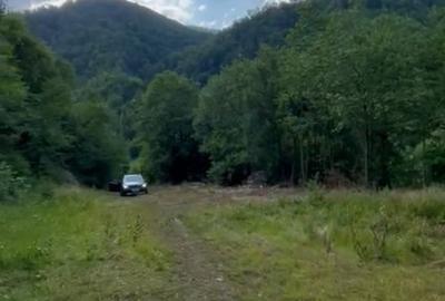 Teren pentru constructie in Valea Ierii cu front la dum asfaltat si utilitati - 1