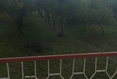 Casa de vacanta cu teren 1.2 ha - 5