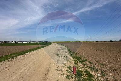 Teren 545,000mp Dragomiresti-Vale - 8