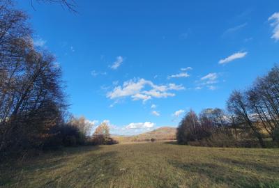 Terenul propus spre vanzare este situat in zona Bran -Tohanita   cu deschidere d - 1