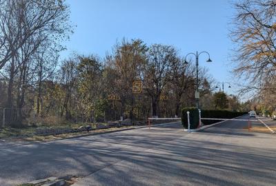 Teren 19.470 mp, investitie ideala, Green City -1 Decembrie, Ilfov - 18