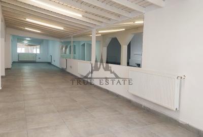 Vilă cu  în zona Eminescu-Dacia - 8