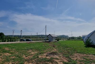 Industrial PARK for Sale – 4 Warehouses with Land, Near Bucharest (INTRAVILAN) - 20