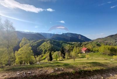 Teren 1,798mp Pestera /  acces din Strada Principala - 2