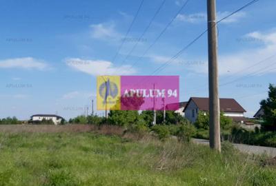Teren construcție casă - 1 Decembrie - Zona Metropolitană București - 10