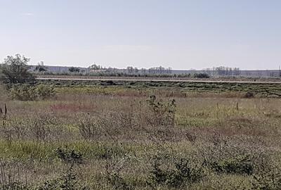 OCAZIE : INTRAVILAN com. MURIGHIOL - 19 euro/m.p. Deschidere Dunare  74 m. - 10