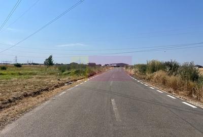 Teren Domnesti- Fortului. - 1