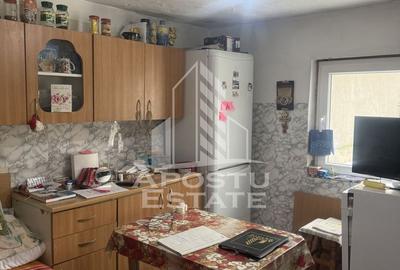 Casă individuală  în Recaș ,teren 1050 mp cu front pe două străzi . - 13