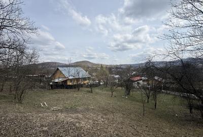 Teren 6040 mp la baza pădurii deschidere 40 ml - 6