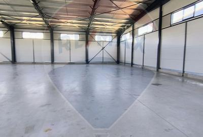 Spațiu industrial hala 597 Mp de inchiriat Ciorogarla - 5