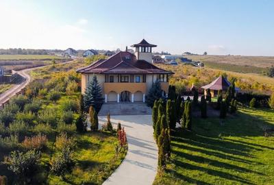 Proprietate Unică de Vânzare în Vișani, Iași – Reședință și Investiție Turistică - 2