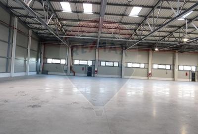 Spațiu industrial de 875mp de închiriat în zona Exterior Vest - 10