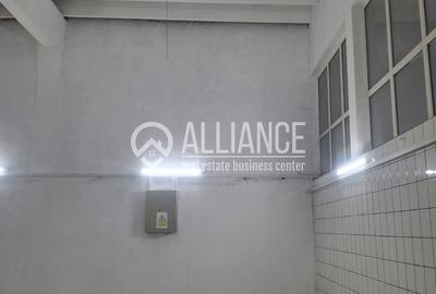 ZONA INDUSTRIALA (COD04)-Hala 270 mp ideal service auto - 10