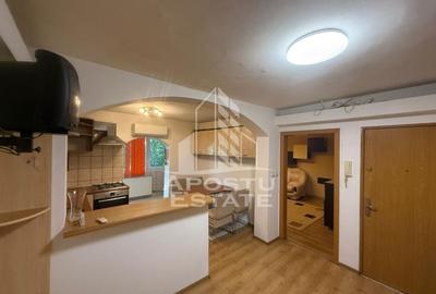 Apartament de inchiriat 3 camere, centrala proprie Aradului, Timisoara - 12