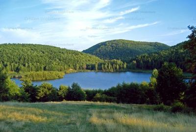 RATE Pensiune 12 cam Superba*** malul Lac Mocearu piscina ,16277mp - 26