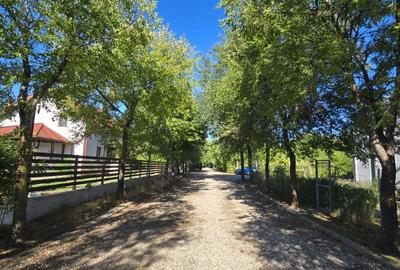 Loturi constructie intre 80-95 Euro/mp - Afumati, Strada Padurii - 1