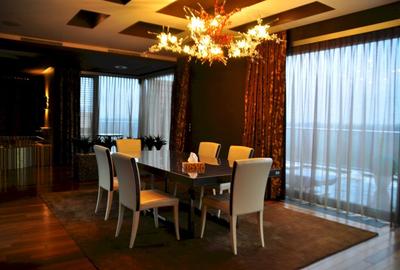 PENTHOUSE UNICAT vedere parc si la lac Herastrau - 11