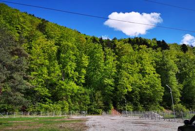 Teren rezidential Bunloc zona de case - 1